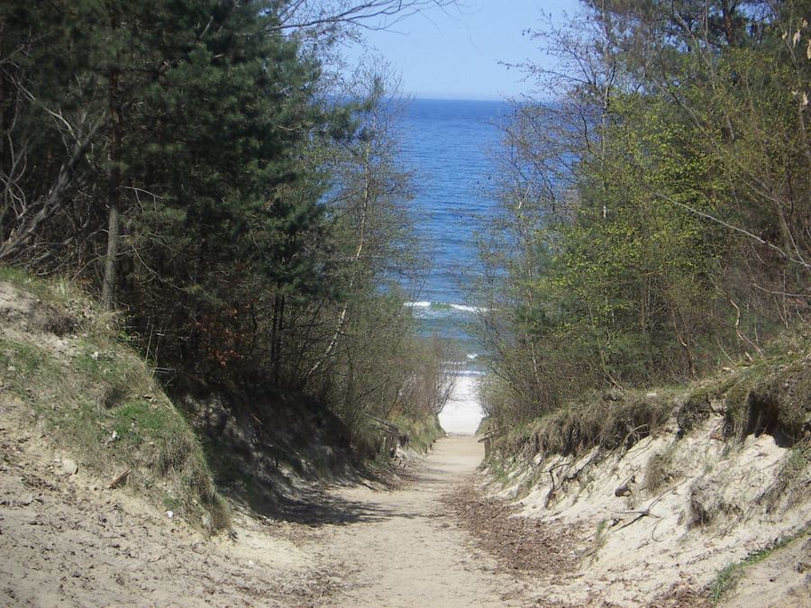 Piaszczyste zejście na plażę przez wydmy w Jastrzębiej Górze